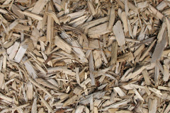 biomass boilers West Carr
